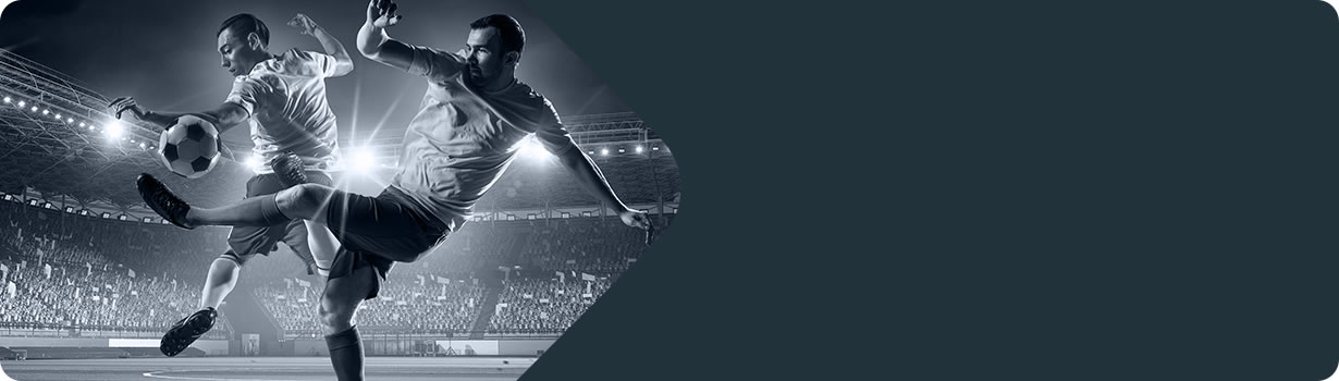 sudoku auto candidate
